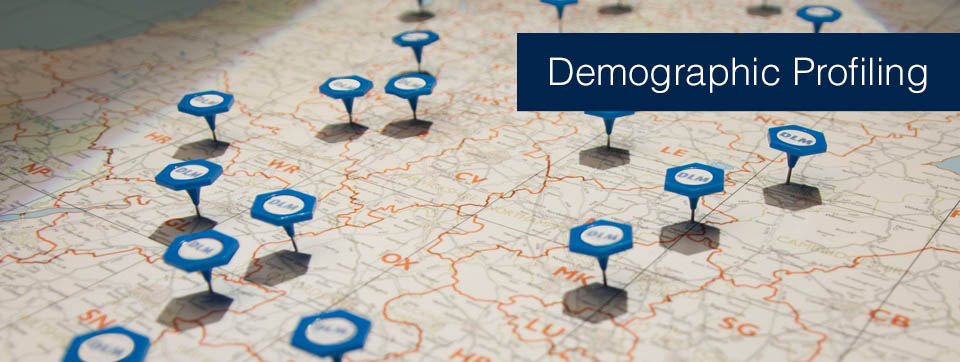 Demographic Profiling - DLM